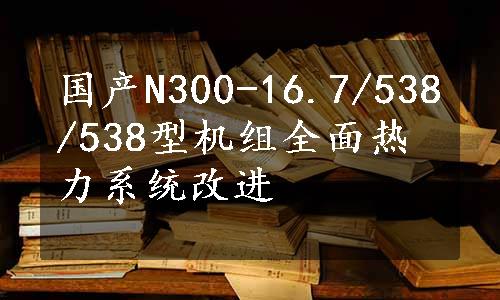 国产N300-16.7/538/538型机组全面热力系统改进