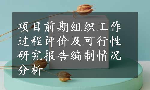 项目前期组织工作过程评价及可行性研究报告编制情况分析