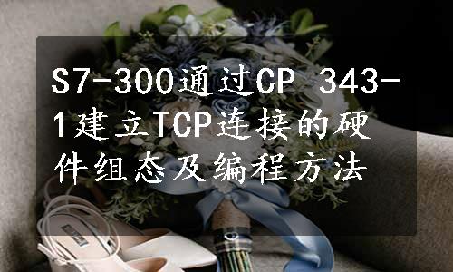 S7-300通过CP 343-1建立TCP连接的硬件组态及编程方法