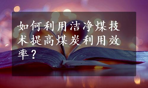 如何利用洁净煤技术提高煤炭利用效率？