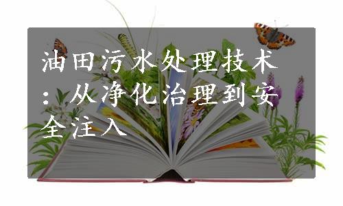 油田污水处理技术：从净化治理到安全注入