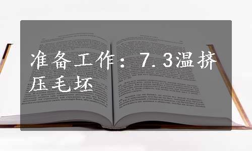 准备工作：7.3温挤压毛坯