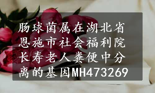 肠球菌属在湖北省恩施市社会福利院长寿老人粪便中分离的基因MH473269