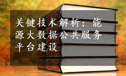 关键技术解析：能源大数据公共服务平台建设