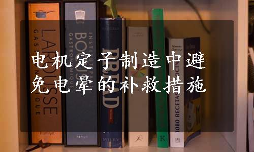 电机定子制造中避免电晕的补救措施