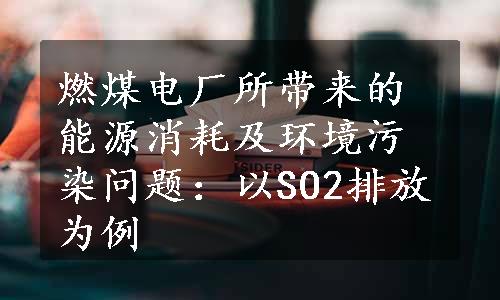 燃煤电厂所带来的能源消耗及环境污染问题：以SO2排放为例