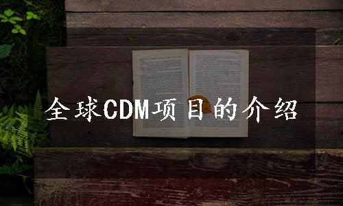 全球CDM项目的介绍