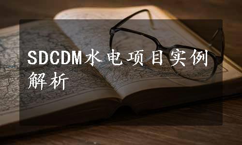 SDCDM水电项目实例解析