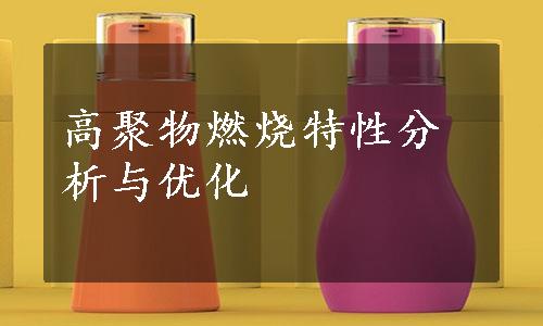 高聚物燃烧特性分析与优化