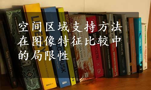 空间区域支持方法在图像特征比较中的局限性