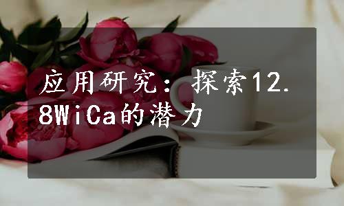 应用研究：探索12.8WiCa的潜力