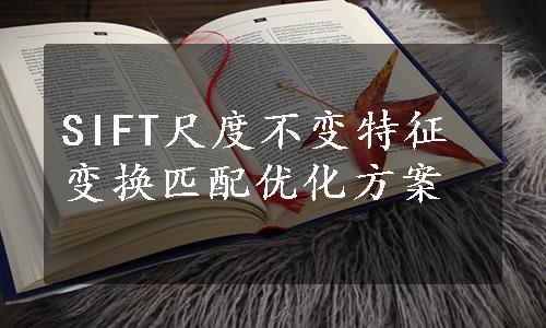 SIFT尺度不变特征变换匹配优化方案