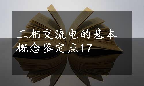 三相交流电的基本概念鉴定点17