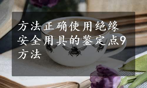 方法正确使用绝缘安全用具的鉴定点9方法