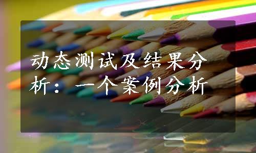 动态测试及结果分析：一个案例分析