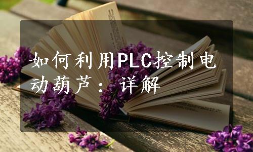 如何利用PLC控制电动葫芦：详解