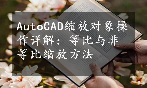 AutoCAD缩放对象操作详解：等比与非等比缩放方法