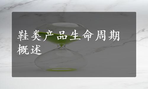 鞋类产品生命周期概述