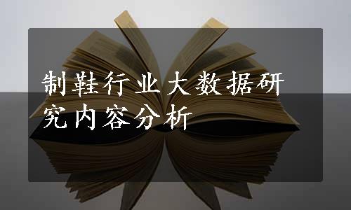 制鞋行业大数据研究内容分析