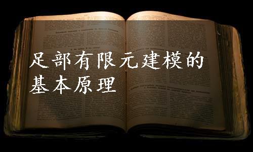 足部有限元建模的基本原理