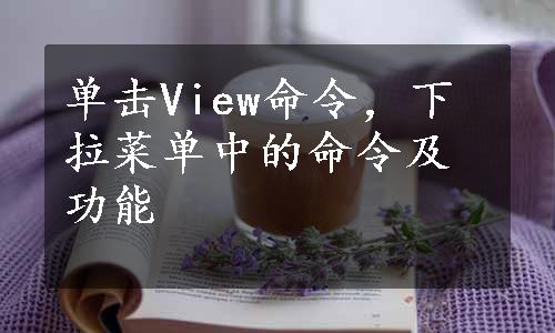 单击View命令，下拉菜单中的命令及功能