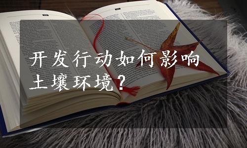 开发行动如何影响土壤环境？