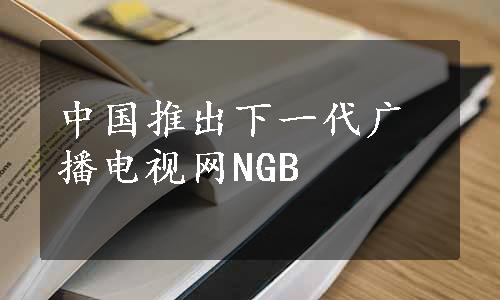 中国推出下一代广播电视网NGB