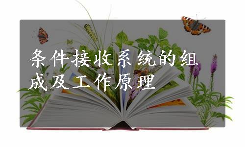 条件接收系统的组成及工作原理