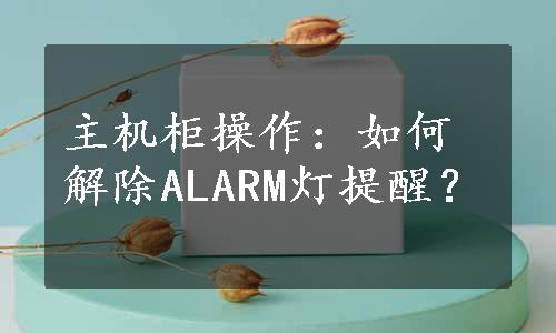 主机柜操作：如何解除ALARM灯提醒？