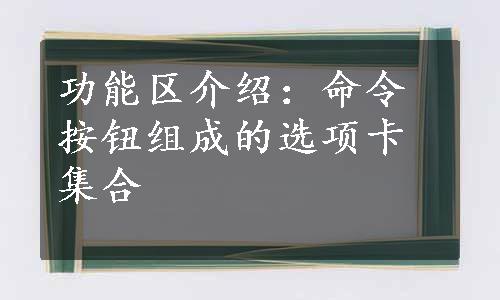 功能区介绍：命令按钮组成的选项卡集合