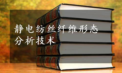 静电纺丝纤维形态分析技术