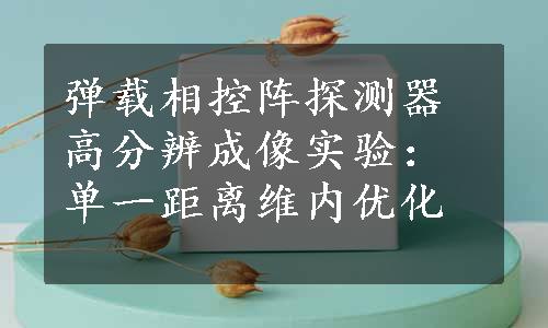 弹载相控阵探测器高分辨成像实验：单一距离维内优化