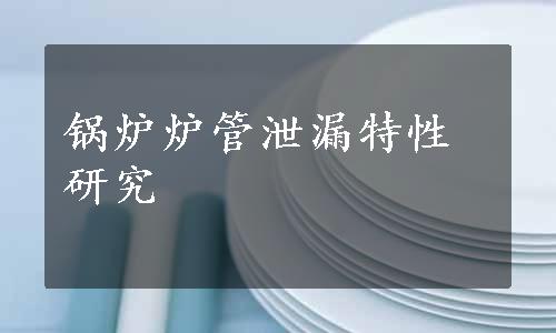 锅炉炉管泄漏特性研究