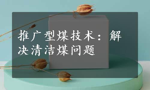 推广型煤技术：解决清洁煤问题