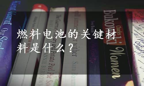 燃料电池的关键材料是什么？