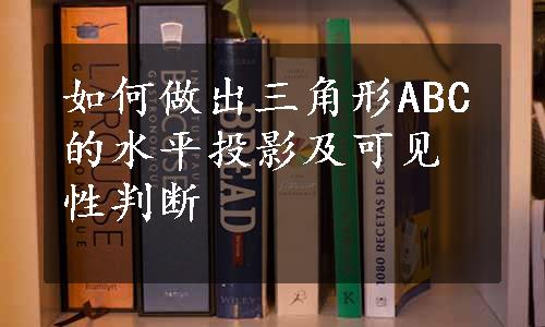 如何做出三角形ABC的水平投影及可见性判断