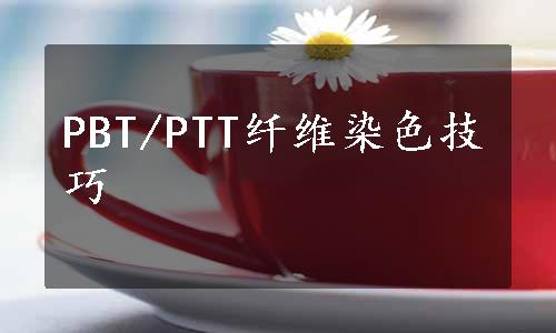 PBT/PTT纤维染色技巧