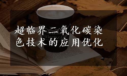 超临界二氧化碳染色技术的应用优化