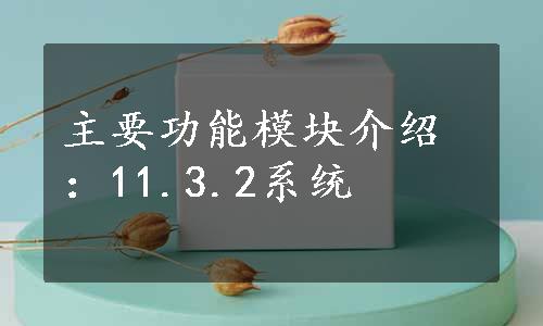 主要功能模块介绍：11.3.2系统