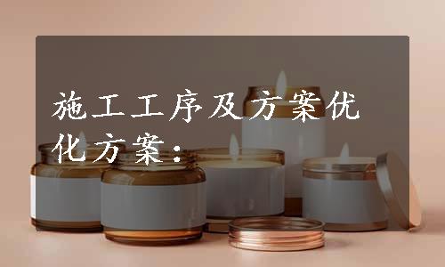 施工工序及方案优化方案：