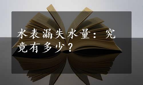 水表漏失水量：究竟有多少？