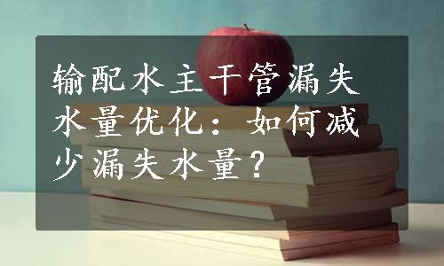 输配水主干管漏失水量优化：如何减少漏失水量？