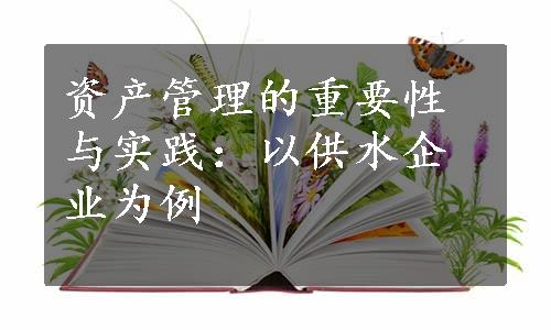 资产管理的重要性与实践：以供水企业为例