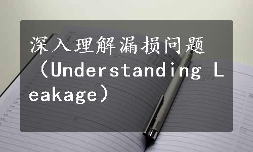 深入理解漏损问题（Understanding Leakage）