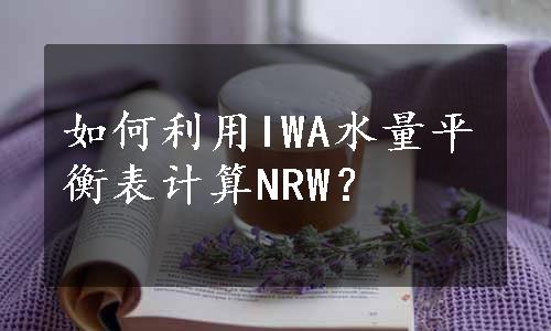 如何利用IWA水量平衡表计算NRW？