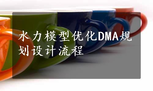 水力模型优化DMA规划设计流程