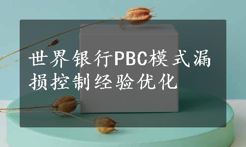 世界银行PBC模式漏损控制经验优化