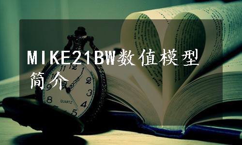 MIKE21BW数值模型简介