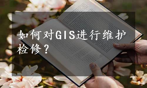 如何对GIS进行维护检修？