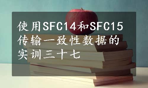 使用SFC14和SFC15传输一致性数据的实训三十七